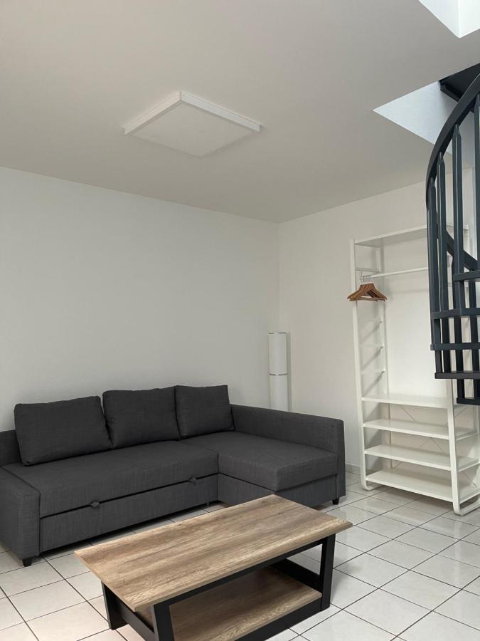 Nancy Hypercentre 34 Rue Des Dominicains ! 아파트 외부 사진
